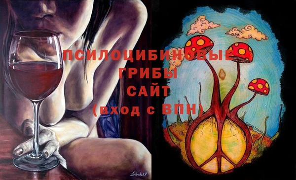 mdpv Володарск