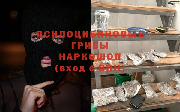 mdpv Володарск