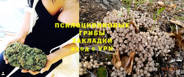 твердый Горняк